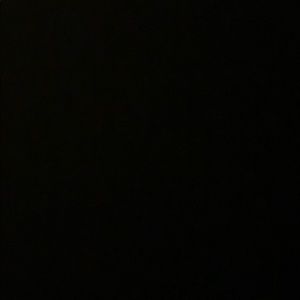 Meet your Posher, Carmen